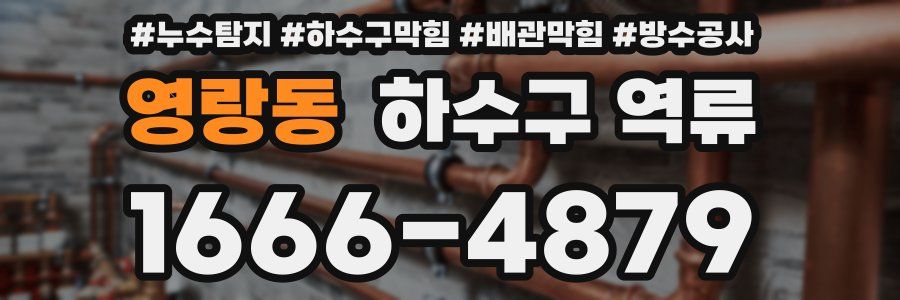 영랑동 하수구 역류