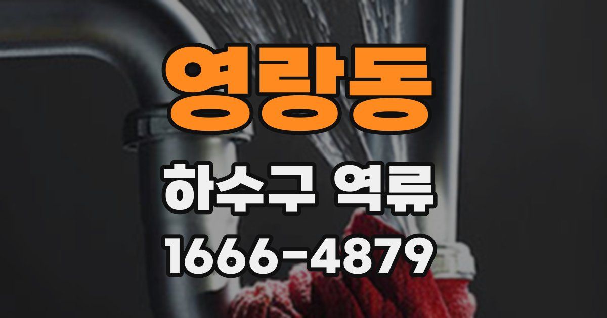 영랑동 하수구 역류