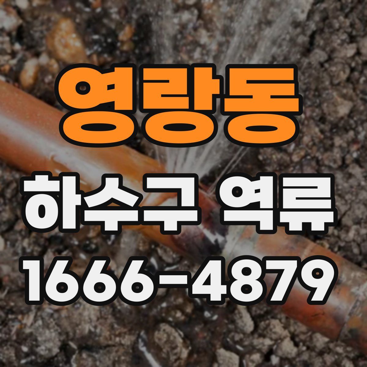 영랑동 하수구 역류