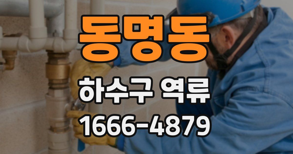 동명동 하수구 역류