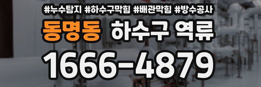 동명동 하수구 역류