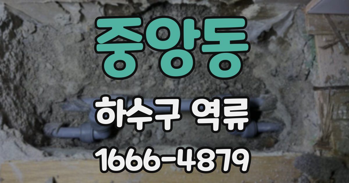 중앙동 하수구 역류
