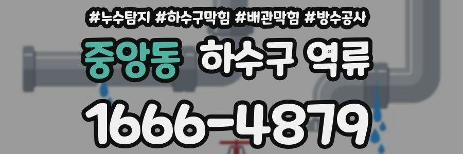 중앙동 하수구 역류