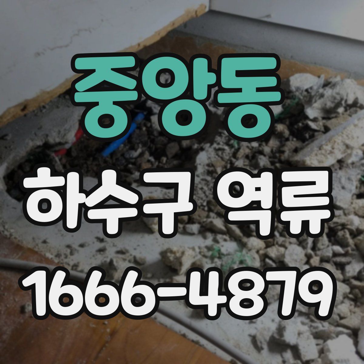 중앙동 하수구 역류