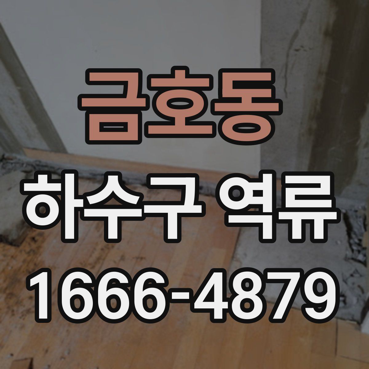 금호동 하수구 역류