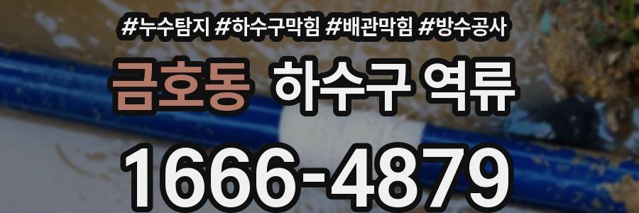 금호동 하수구 역류