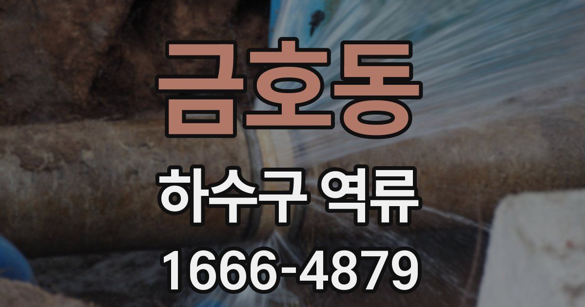 금호동 하수구 역류
