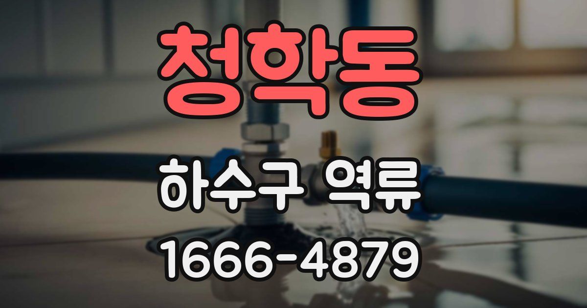청학동 하수구 역류