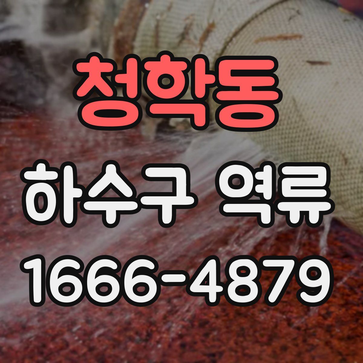 청학동 하수구 역류