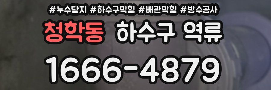 청학동 하수구 역류