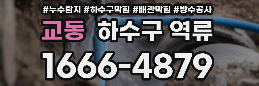 교동 하수구 역류