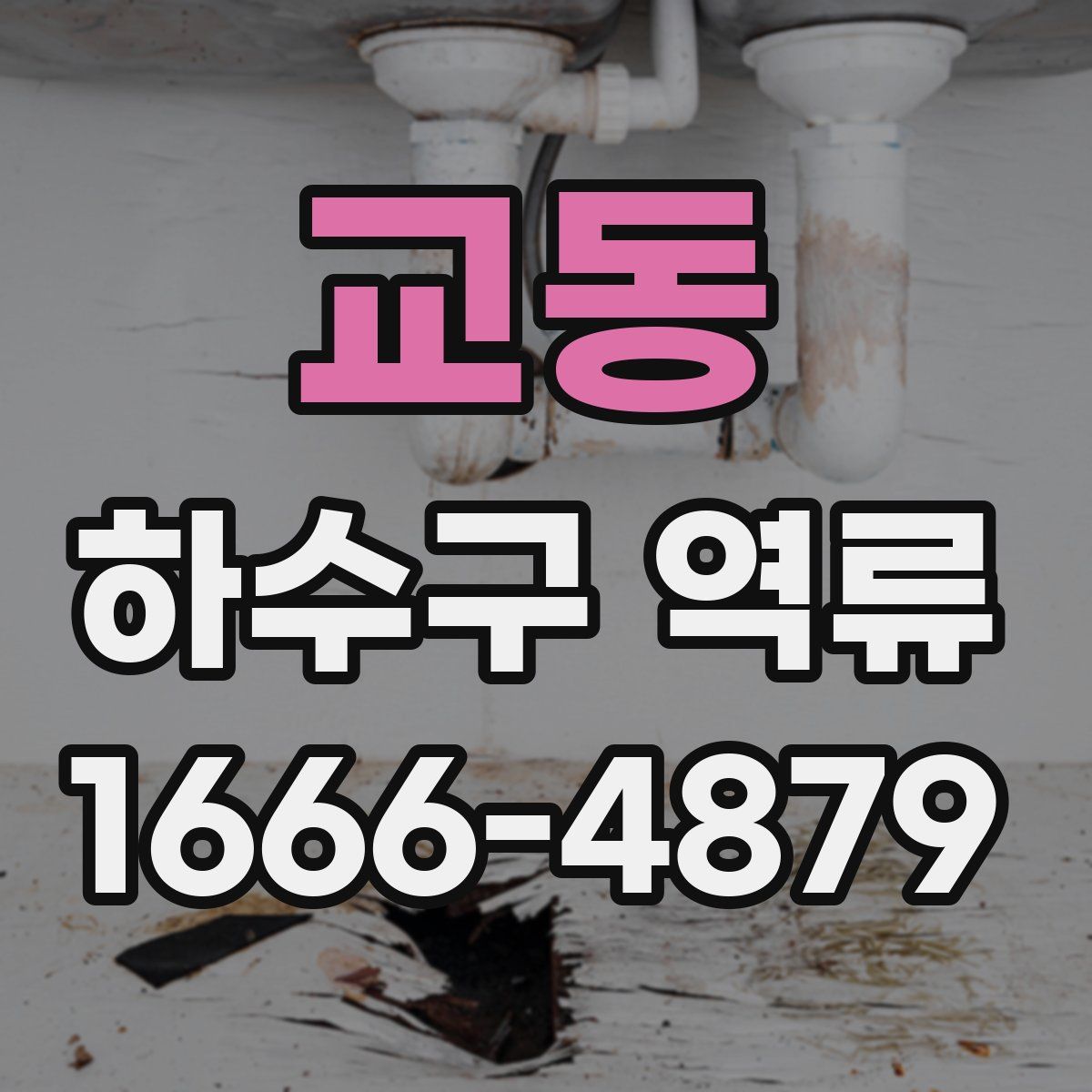 교동 하수구 역류