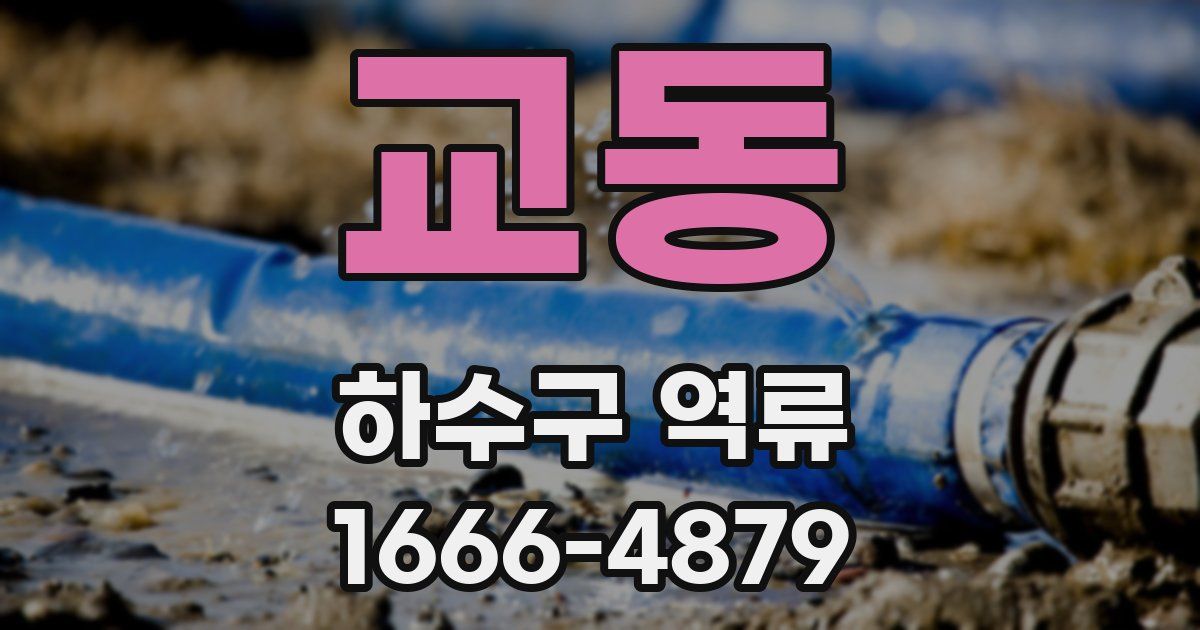 교동 하수구 역류