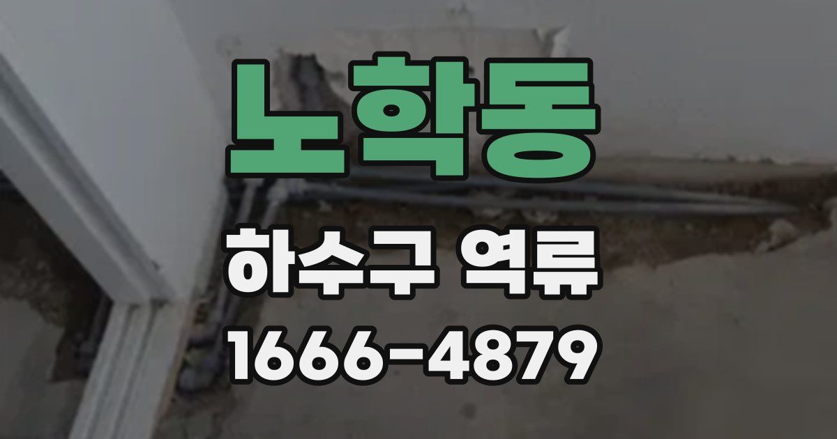 노학동 하수구 역류