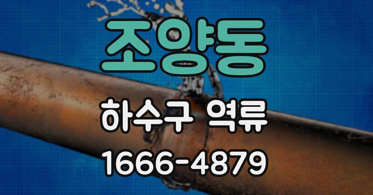 조양동 하수구 역류