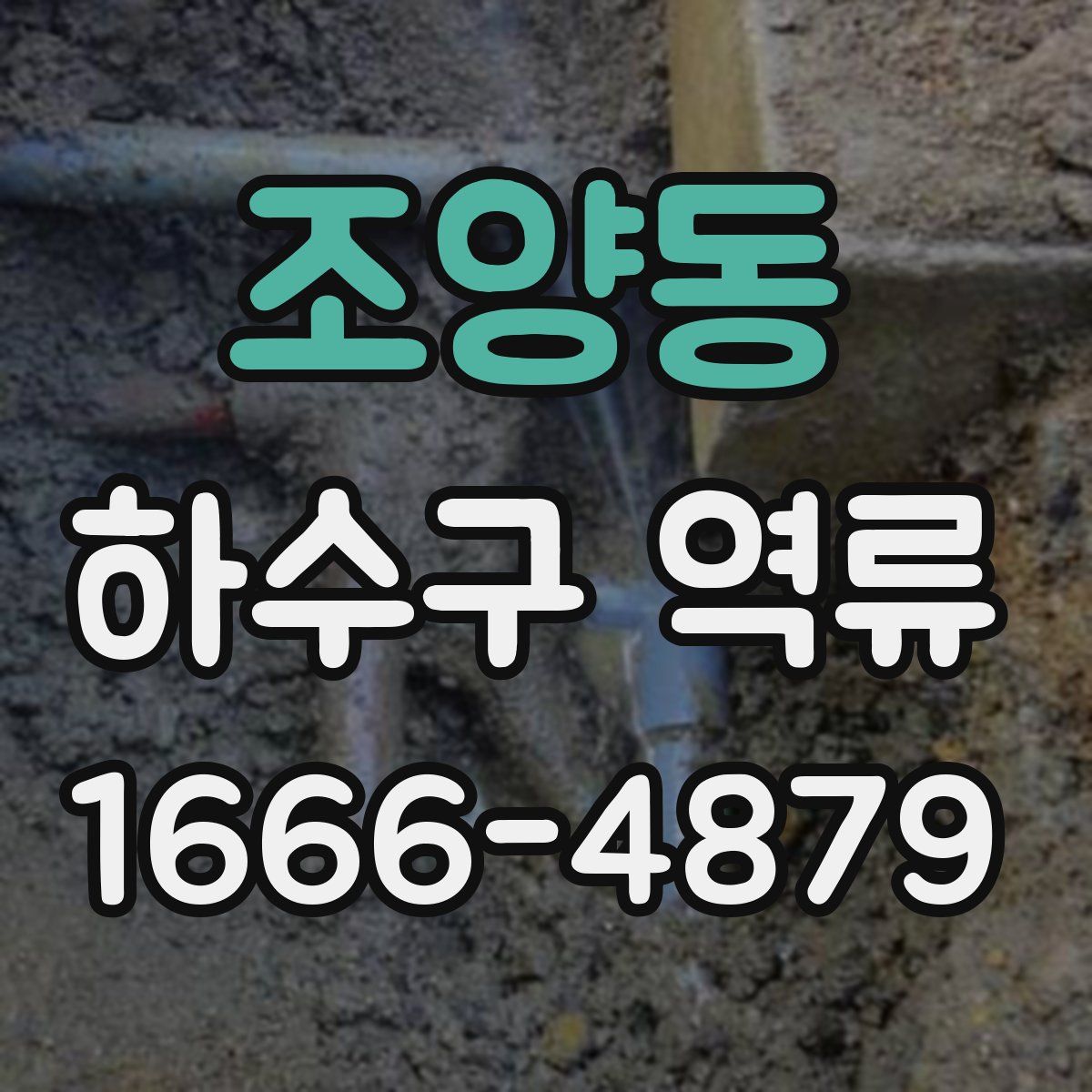 조양동 하수구 역류