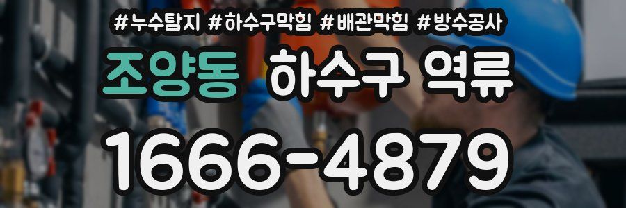 조양동 하수구 역류