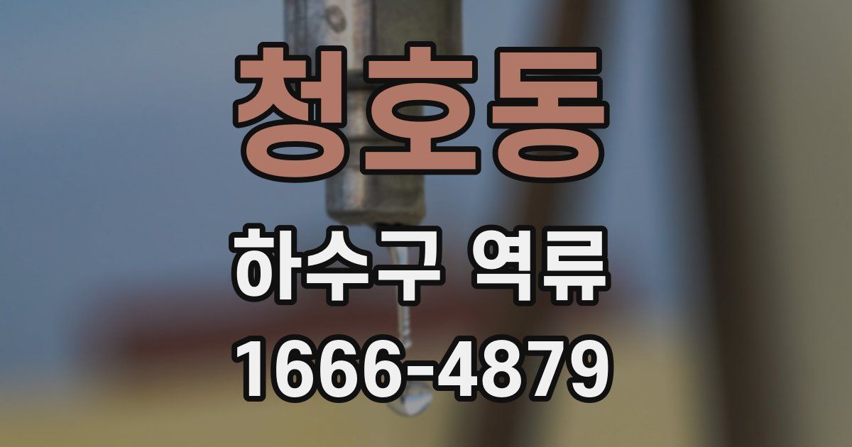 청호동 하수구 역류