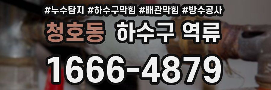 청호동 하수구 역류