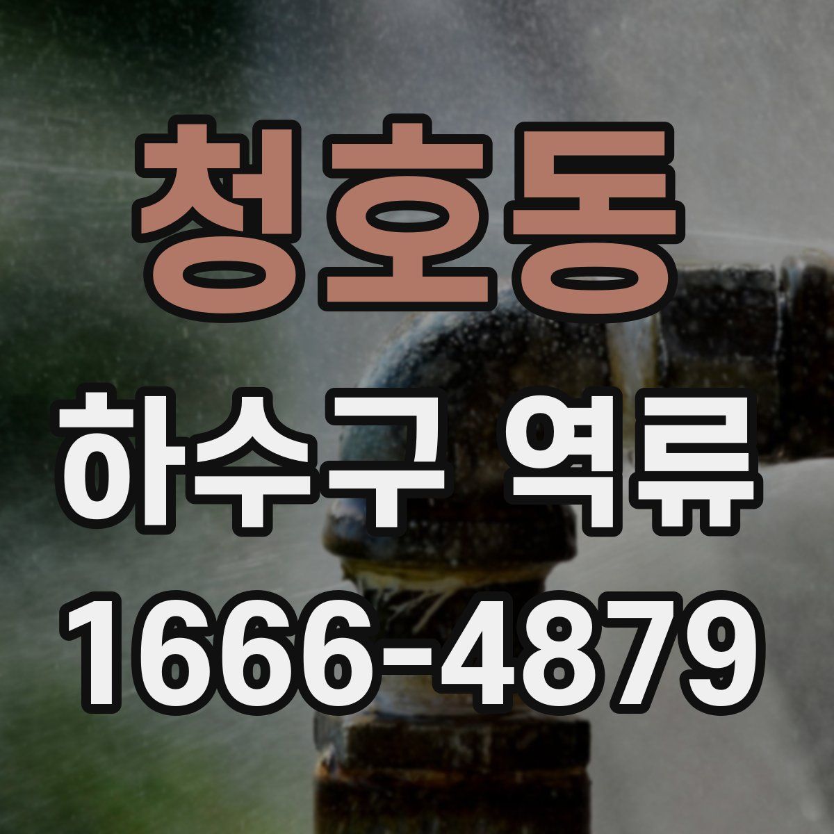청호동 하수구 역류