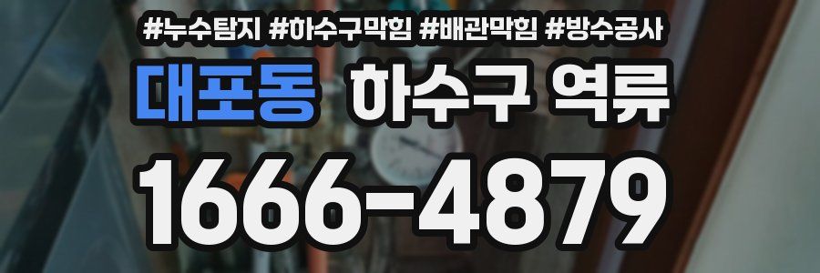 대포동 하수구 역류