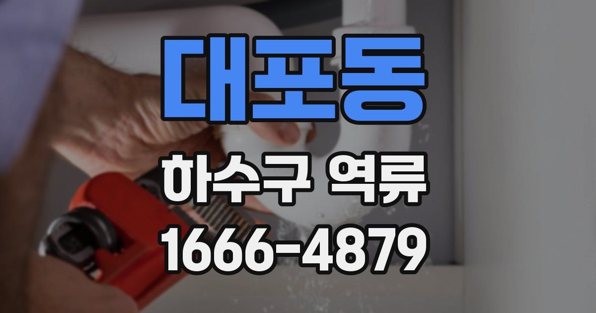 대포동 하수구 역류