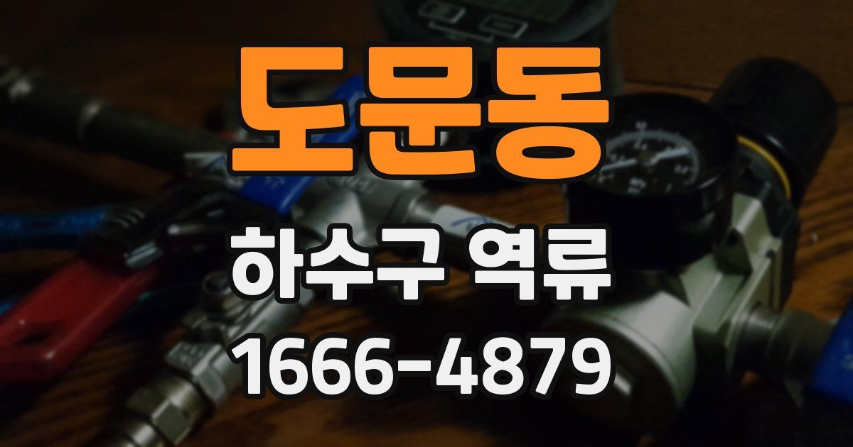 도문동 하수구 역류