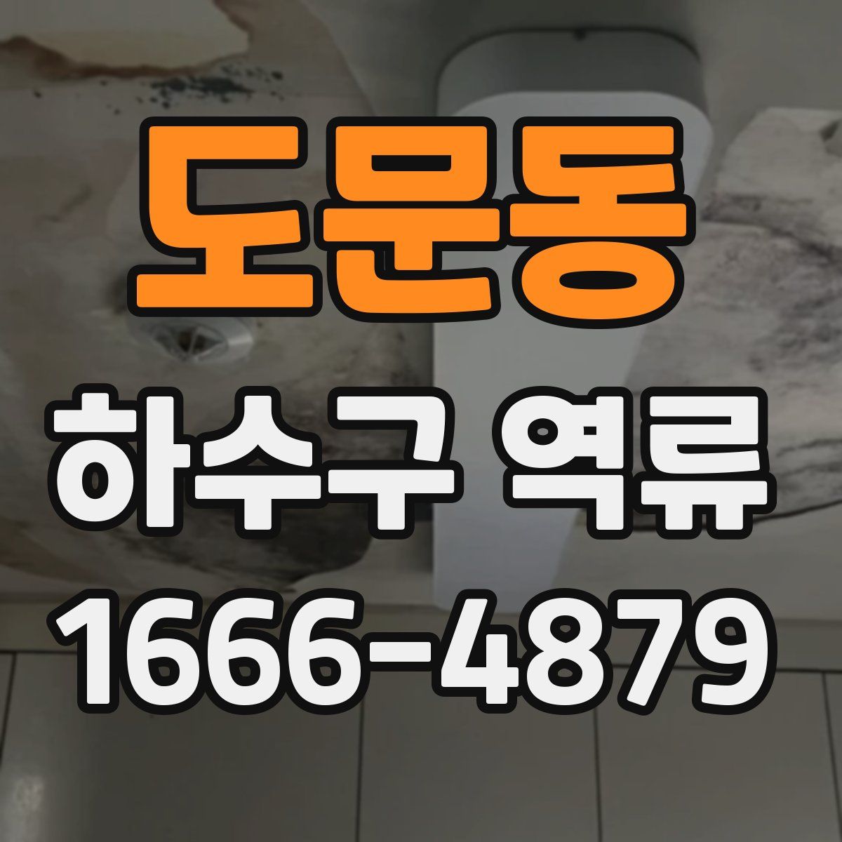 도문동 하수구 역류