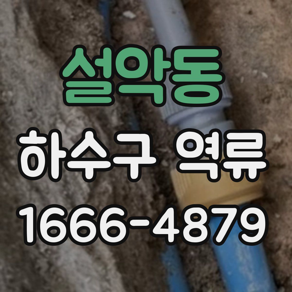 설악동 하수구 역류