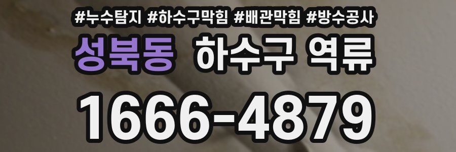 성북동 하수구 역류