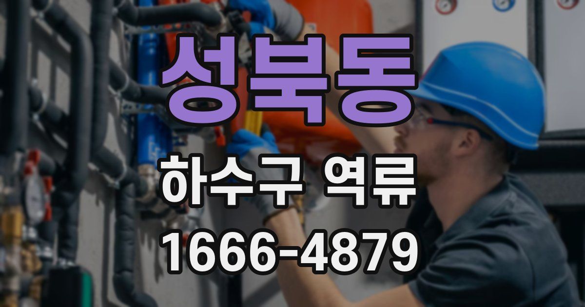 성북동 하수구 역류