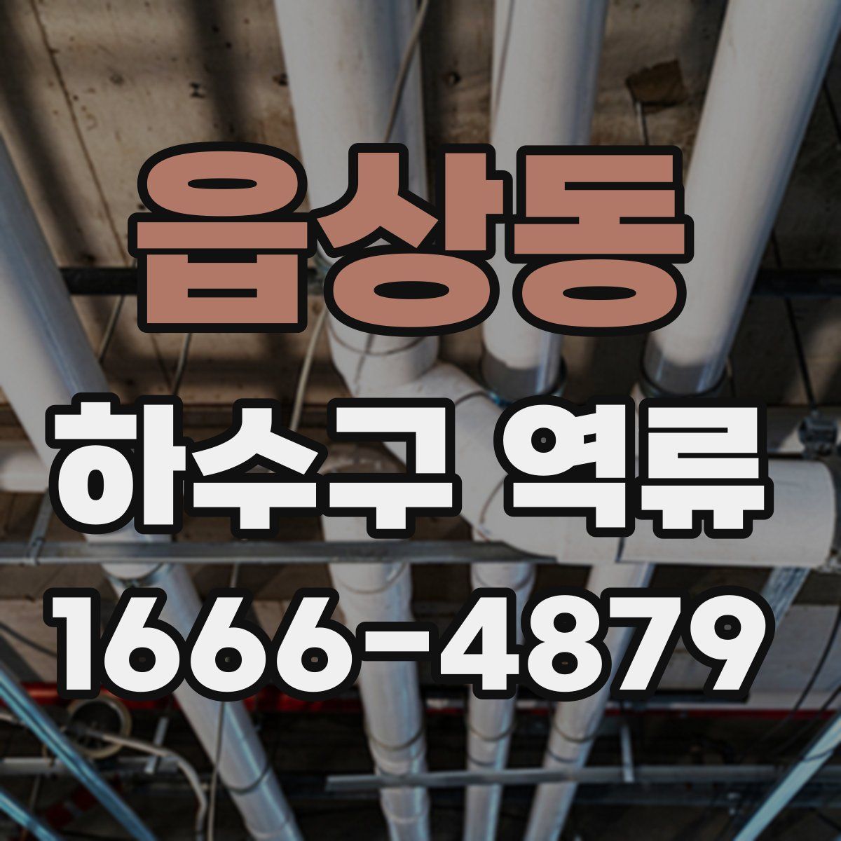 읍상동 하수구 역류