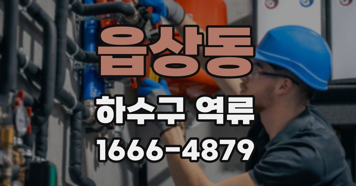 읍상동 하수구 역류