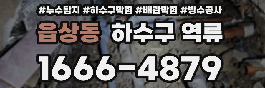 읍상동 하수구 역류