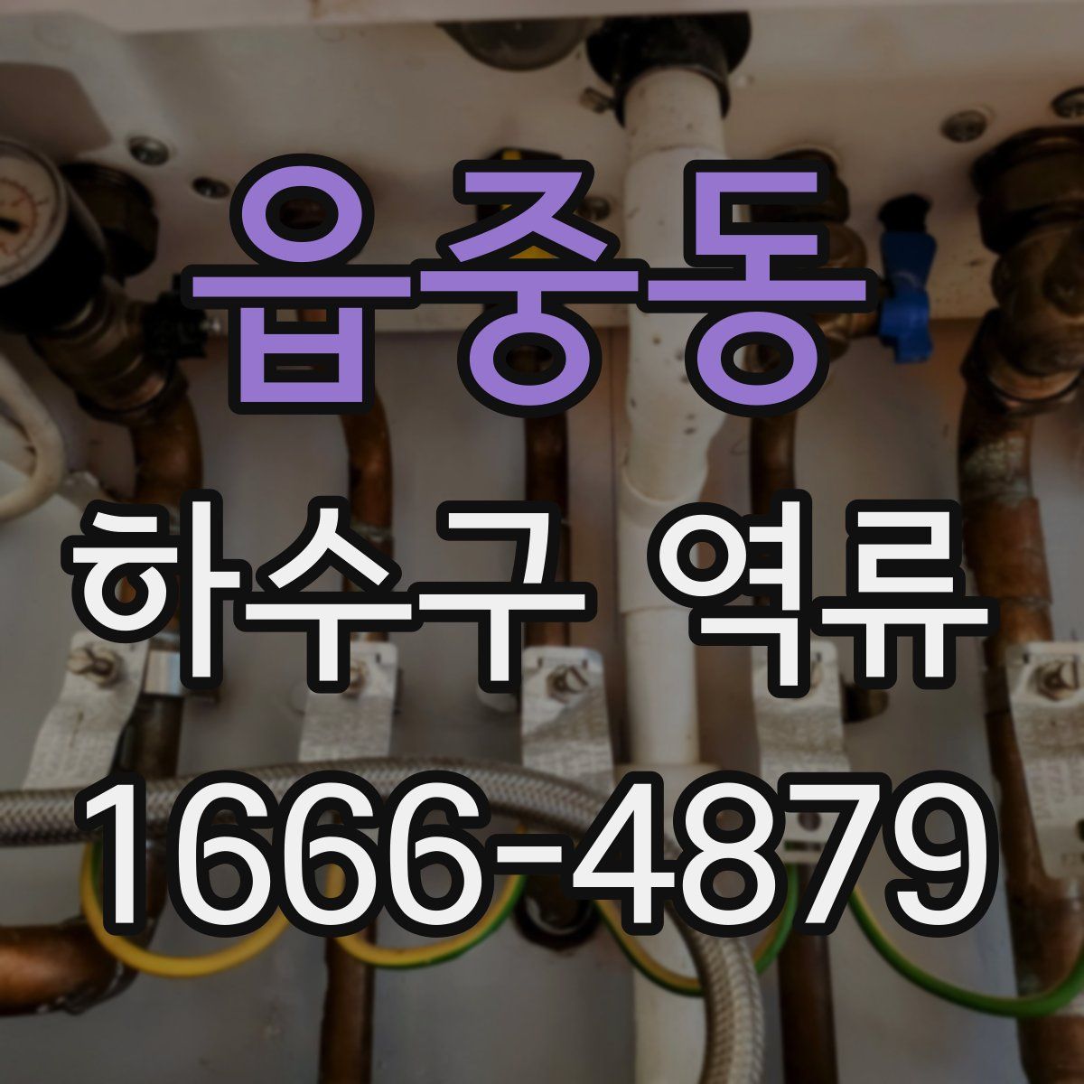 읍중동 하수구 역류