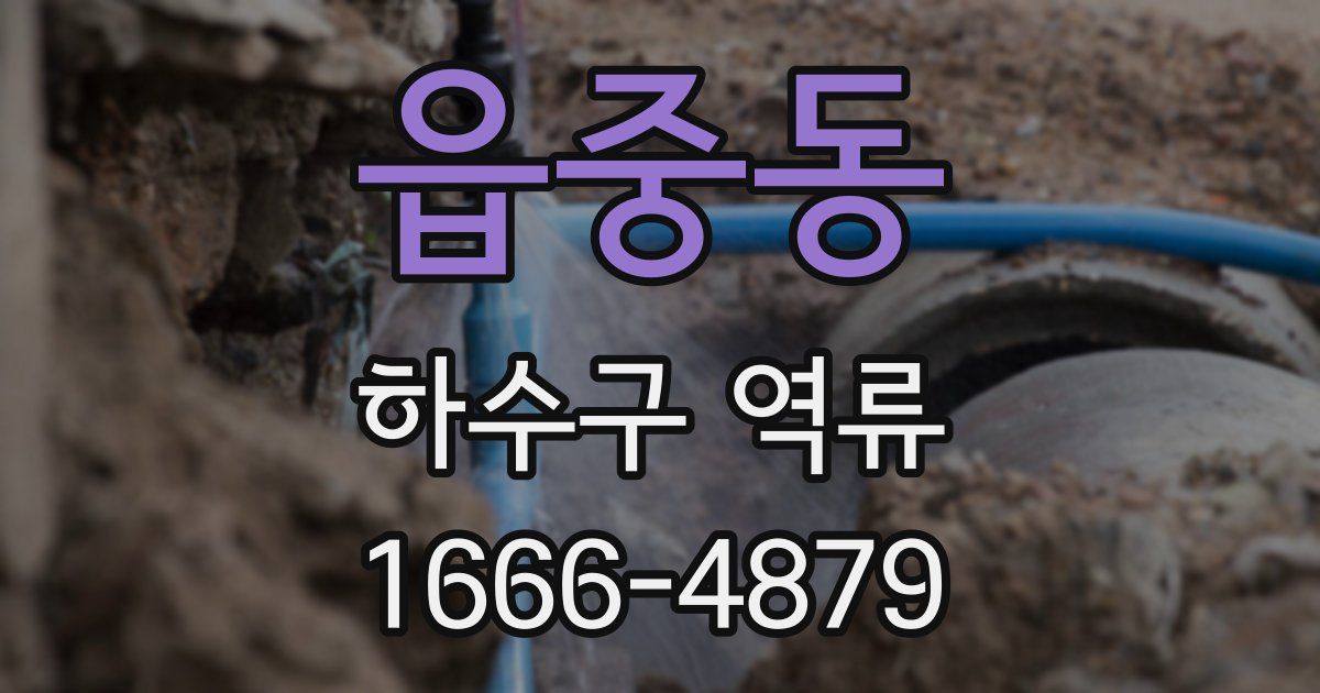 읍중동 하수구 역류