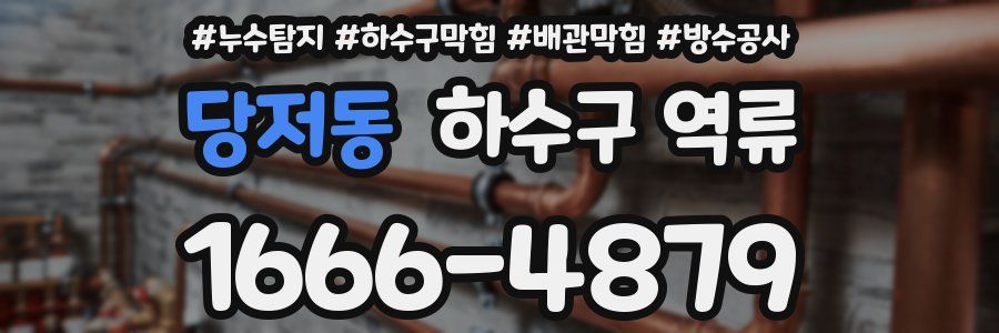 당저동 하수구 역류