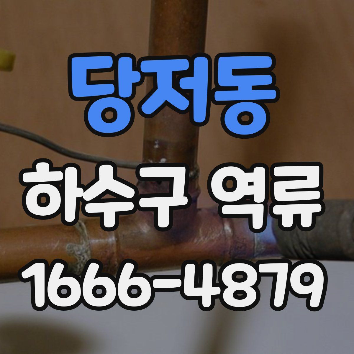 당저동 하수구 역류