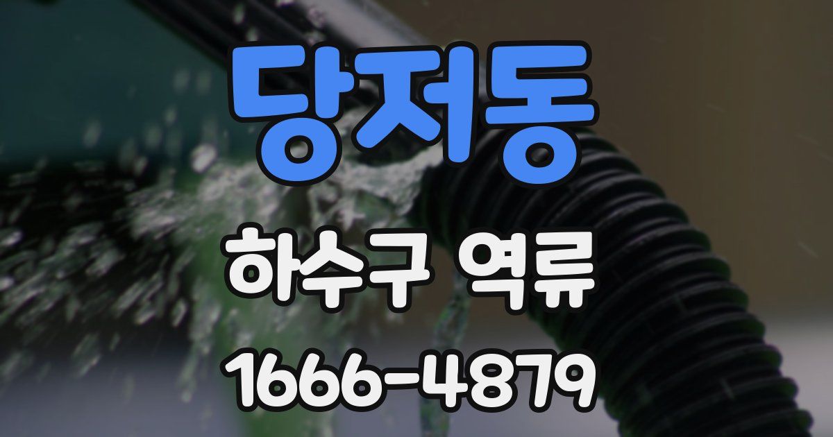 당저동 하수구 역류