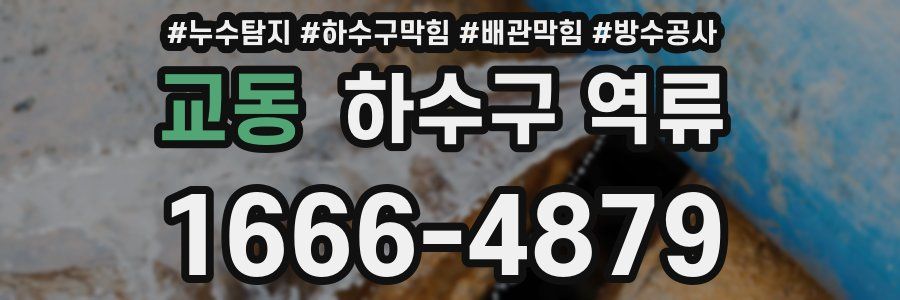 교동 하수구 역류