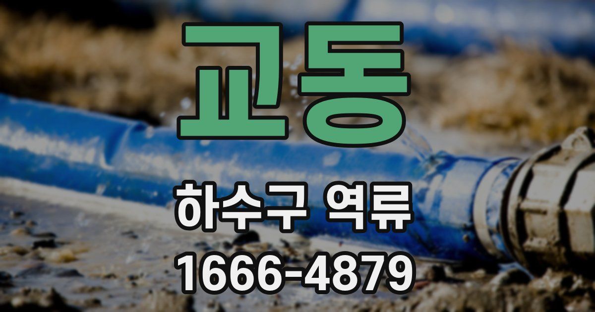 교동 하수구 역류