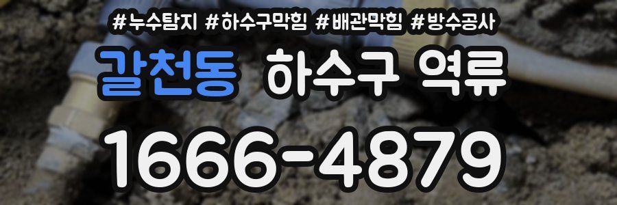 갈천동 하수구 역류