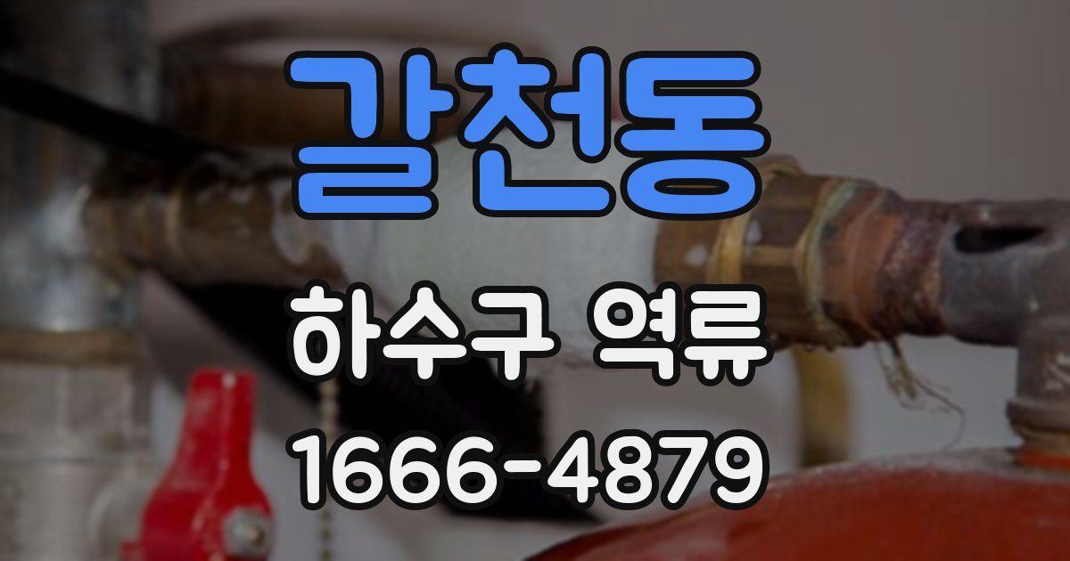 갈천동 하수구 역류