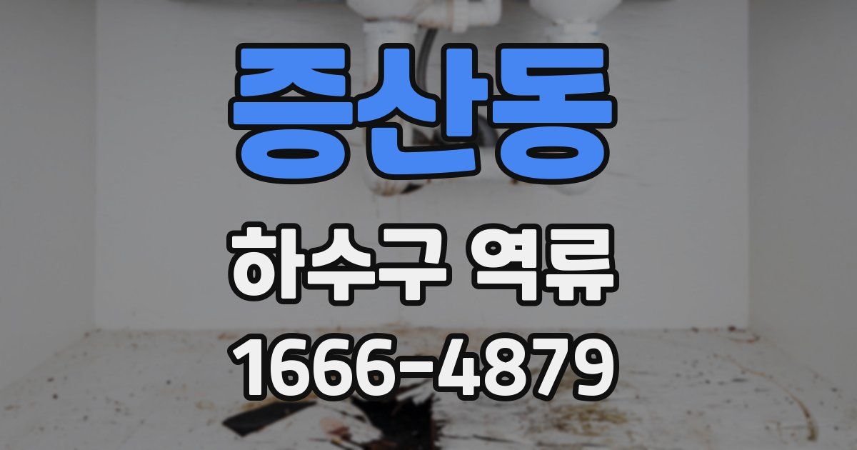증산동 하수구 역류