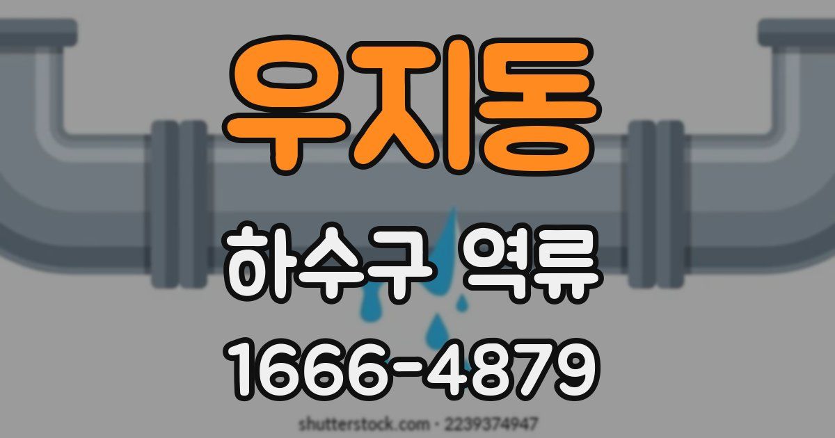 우지동 하수구 역류