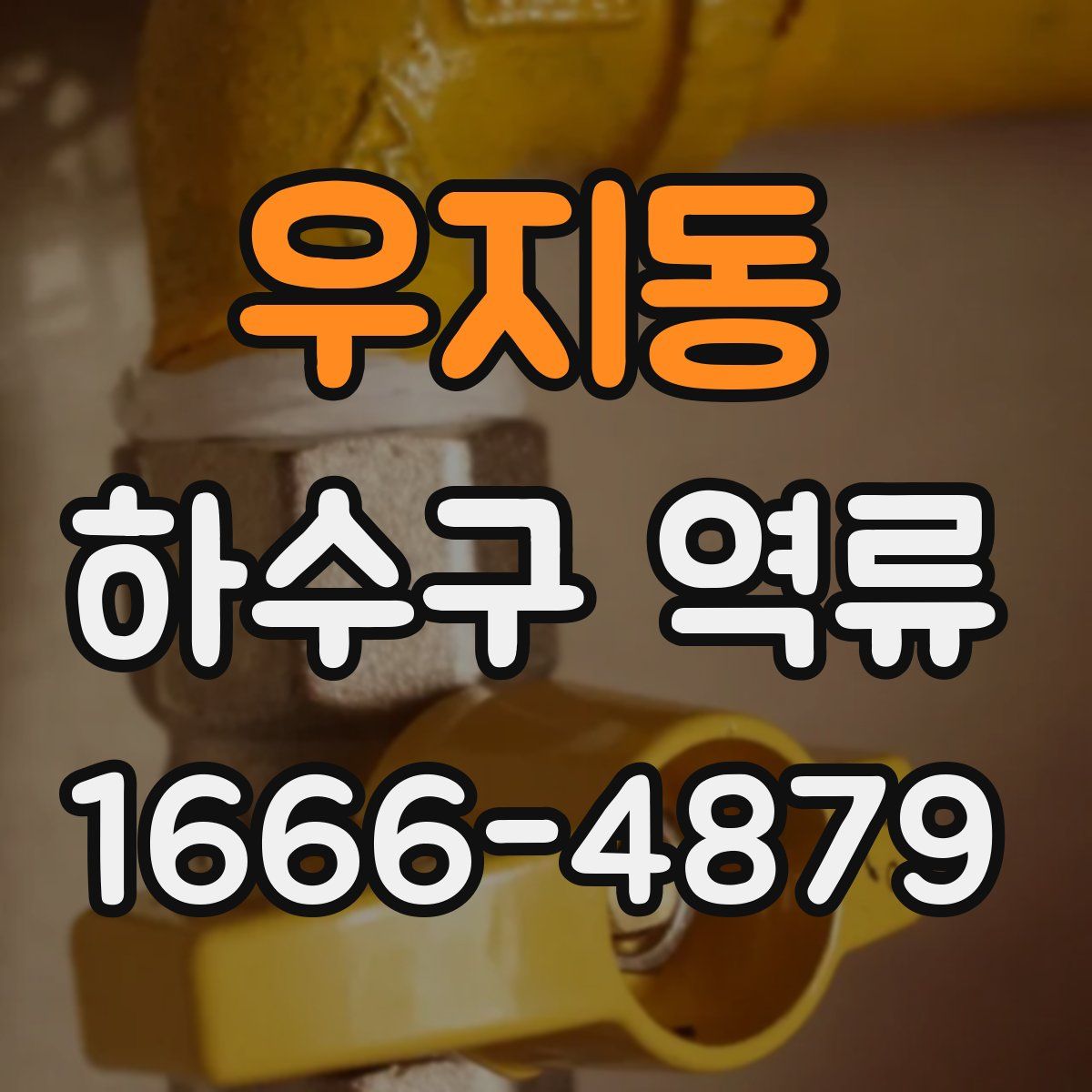 우지동 하수구 역류