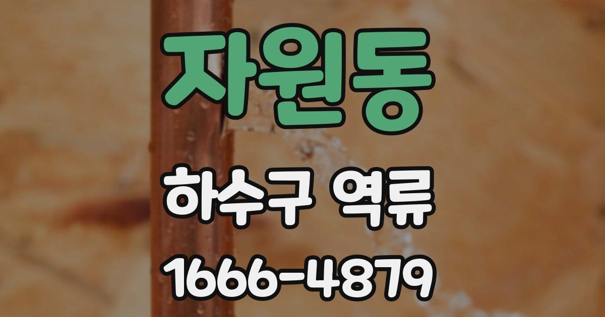 자원동 하수구 역류