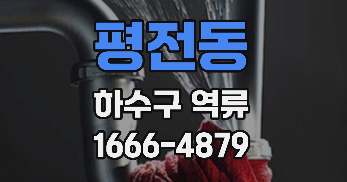 평전동 하수구 역류