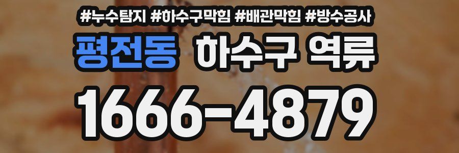 평전동 하수구 역류