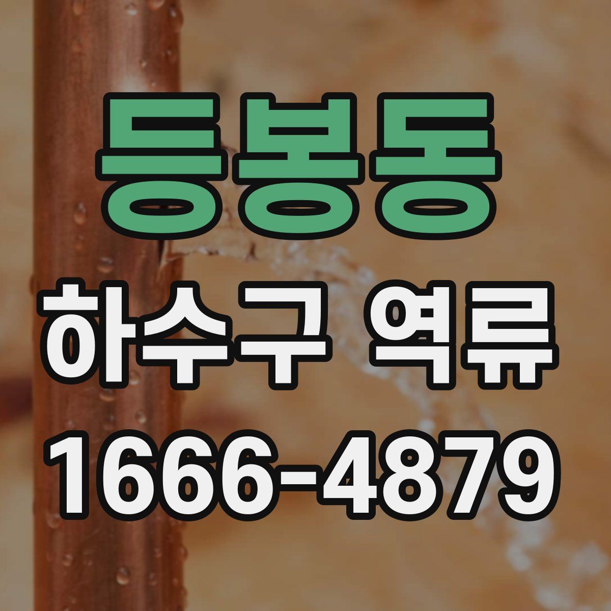 등봉동 하수구 역류